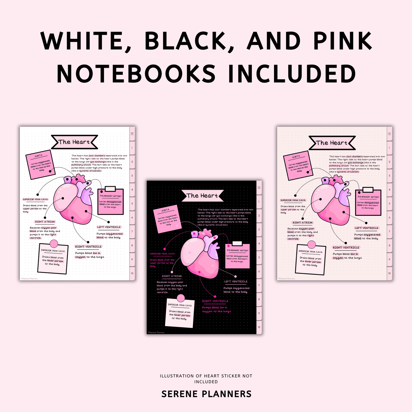 Digital Notebook Bundle